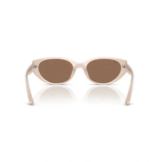 RAY BAN Sunčane naočare 0RB4457D 678673 55