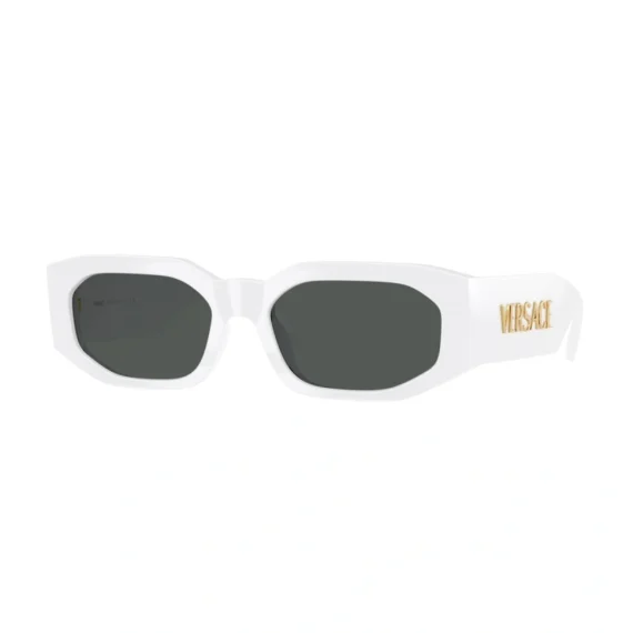 VERSACE Sunčane naočare 0VE4489U 31487 55