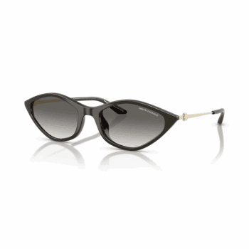 ARMANI EXCHANGE Sunčane naočare 0AX4152SU 836711 55