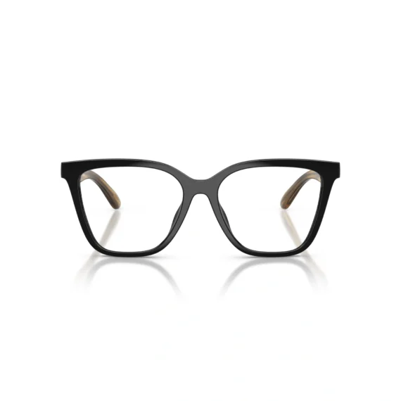 EMPORIO ARMANI Sunčane naočare + 2 CLIP ON dodatka 0EA4254U 50171W 54
