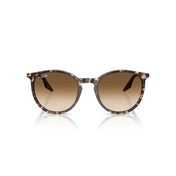 RAY BAN Sunčane naočare 0RB2204 143151 51