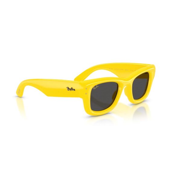 RAY-BAN x A$AP Rocky Wayfarer Puffer Sunčane naočare 0RB4940 683087 47