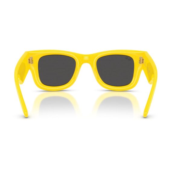 RAY-BAN x A$AP Rocky Wayfarer Puffer Sunčane naočare 0RB4940 683087 47