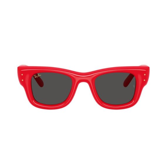 RAY-BAN x A$AP Rocky Wayfarer Puffer Sunčane naočare 0RB4940 683187 47