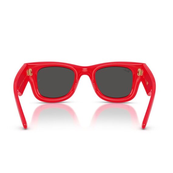 RAY-BAN x A$AP Rocky Wayfarer Puffer Sunčane naočare 0RB4940 683187 47