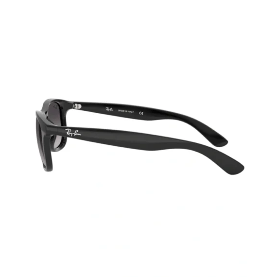 RAY BAN ANDY Sunčane naocare 0RB4202 601/8G55