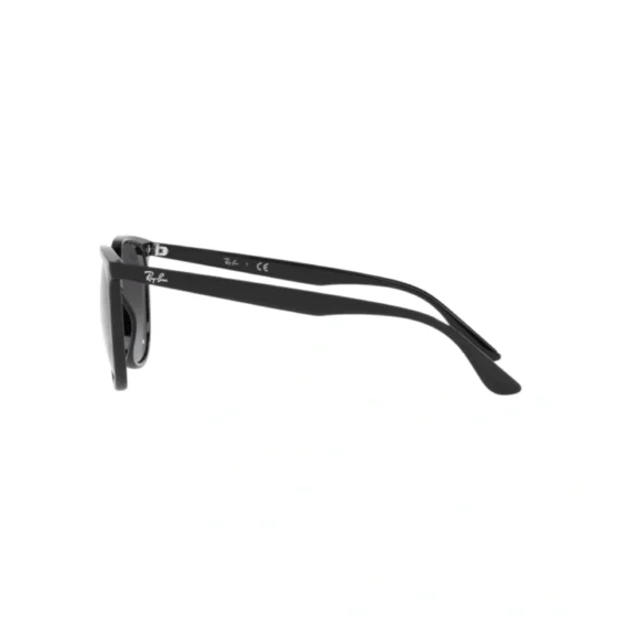 RAY BAN Sunčane naočare 0RB4378 601/8G 54