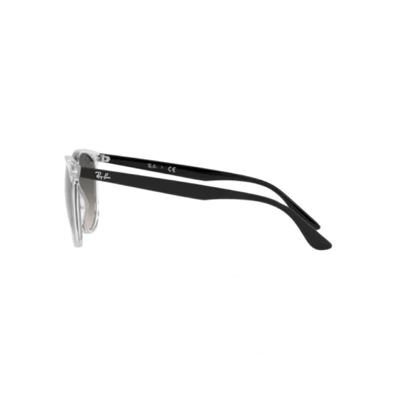 RAY BAN Sunčane naočare 0RB4378 647711 54