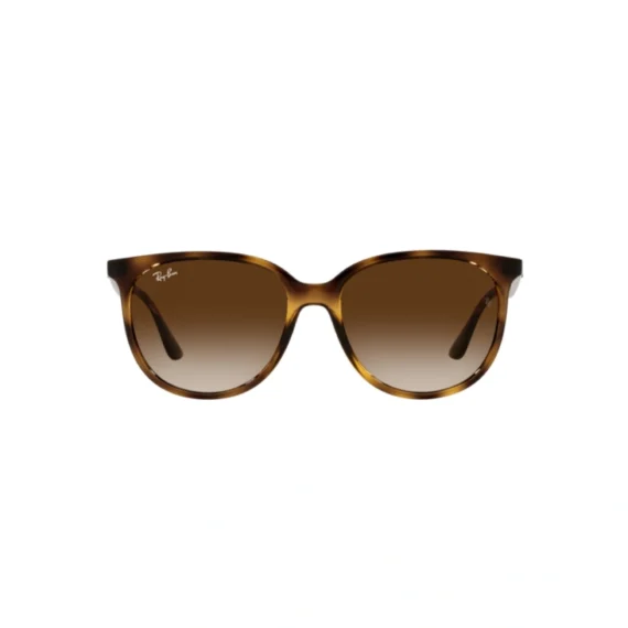 RAY BAN Sunčane naočare 0RB4378 710/13 54
