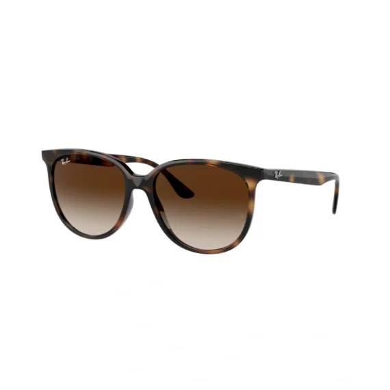RAY BAN Sunčane naočare 0RB4378 710/13 54