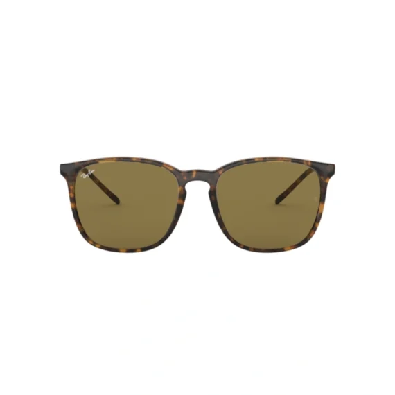 RAY BAN Sunčane naočare 0RB4387 710/7356