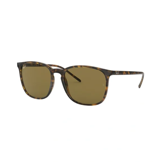 RAY BAN Sunčane naočare 0RB4387 710/7356