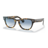 RAY BAN LARAMIE Sunčane naočare 0RB2201 13323F 54