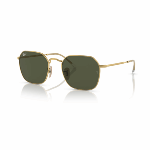 0RB3694-00131-53.png RAY BAN JIM Sunčane naocare 0RB3694 001/31 55