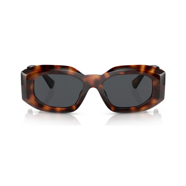 VERSACE Sunčane naočare 0VE4425U 521787 54