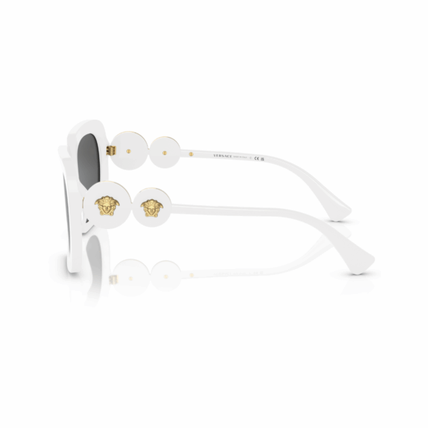 VERSACE Sunčane naočare 0VE4434 314/87 54