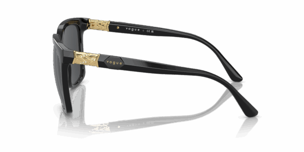 VOGUE Sunčane naočare 0VO5476SB W44/87 54