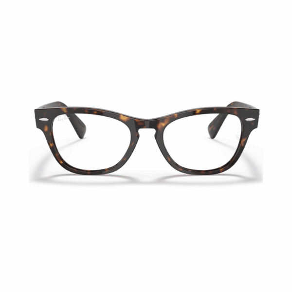 RAY BAN LARAMIE Okviri 0RX2201V 2012 51