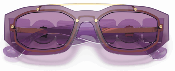 22355.png VERSACE Sunčane naočare 0VE2235 100284 51