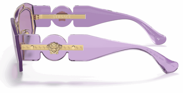 223555.png VERSACE Sunčane naočare 0VE2235 100284 51