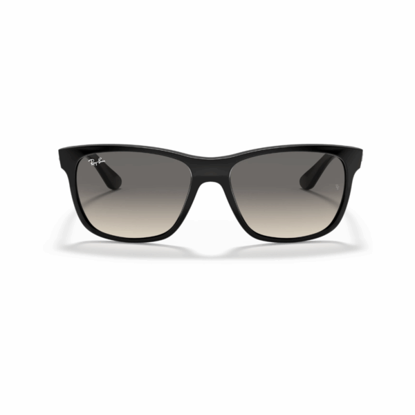 RAY-BAN Sunčane naočare 0RB4181 601/71 57