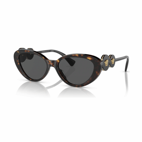 433.png VERSACE Sunčane naočare 0VE4433U 108/87 54