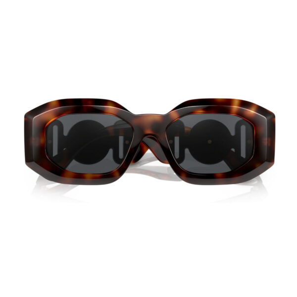 VERSACE Sunčane naočare 0VE4425U 521787 54