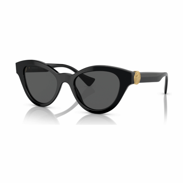 VERSACE Sunčane naočare 0VE4435 GB1/87 52