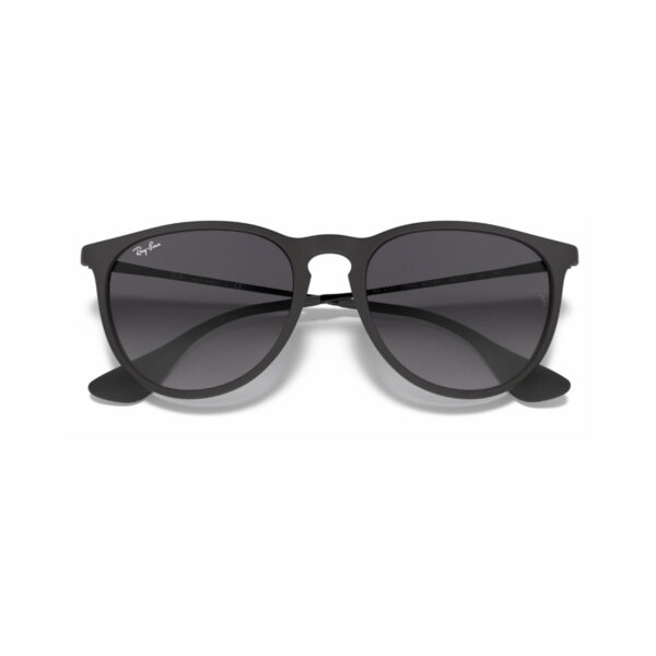 erika2.jpg RAY BAN ERIKA Sunčane naocare 0RB4171 622/8G 54