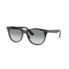 RAY BAN WAYFARER II EVOLVE Sunčane naočare 0RB2185 1250AD 55