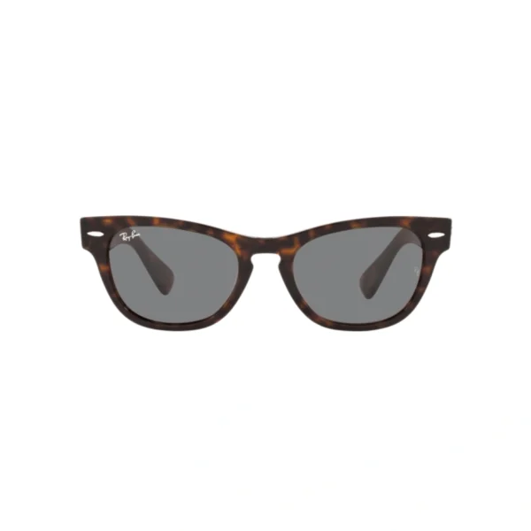 RAY BAN LARAMIE Sunčane naočare 0RB2201 902/B1 54