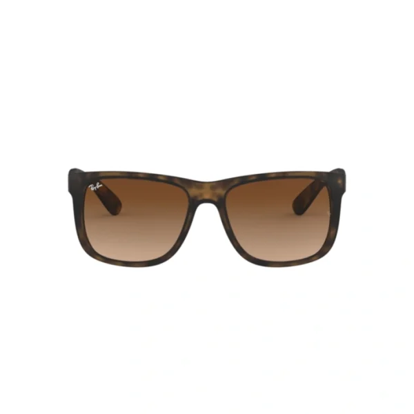 RAY BAN JUSTIN Sunčane naocare 0RB4165 710/13 55