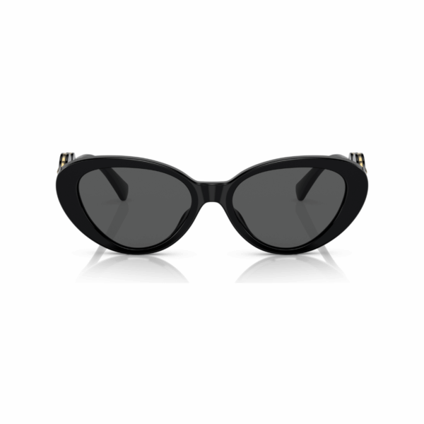 VERSACE Sunčane naočare 0VE4433U GB1/87 54