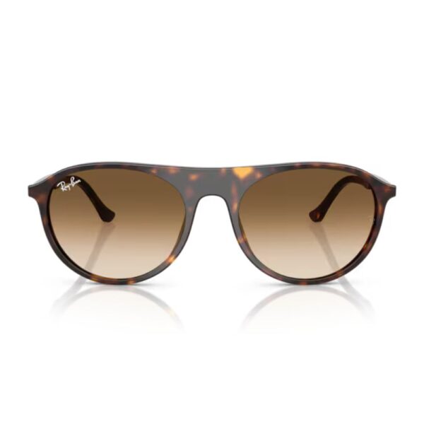 RAY BAN Sunčane naočare 0RB2215 902/51 56