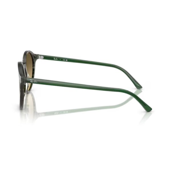 RAY BAN BERNARD Sunčane naočare 0RB2230 14210A 51