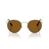 RAY BAN ROUND Sunčane naočare 0RB3447 927533 50