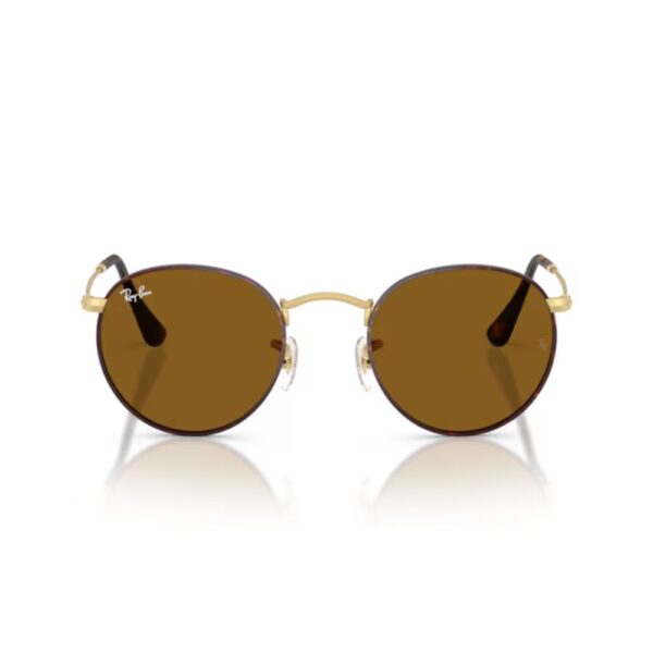 RAY BAN ROUND Sunčane naočare 0RB3447 927533 50