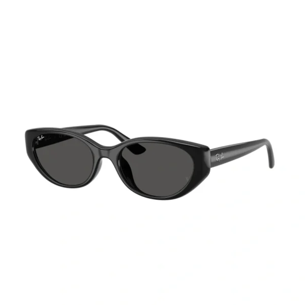 RAY BAN Sunčane naočare 0RB4457D 667711 55