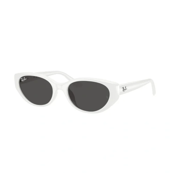 RAY BAN Sunčane naočare 0RB4457D 677287 55