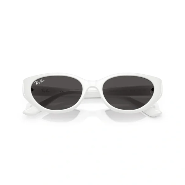 0RB4457D-677287-55_4.webp RAY BAN Sunčane naočare 0RB4457D 677287 55