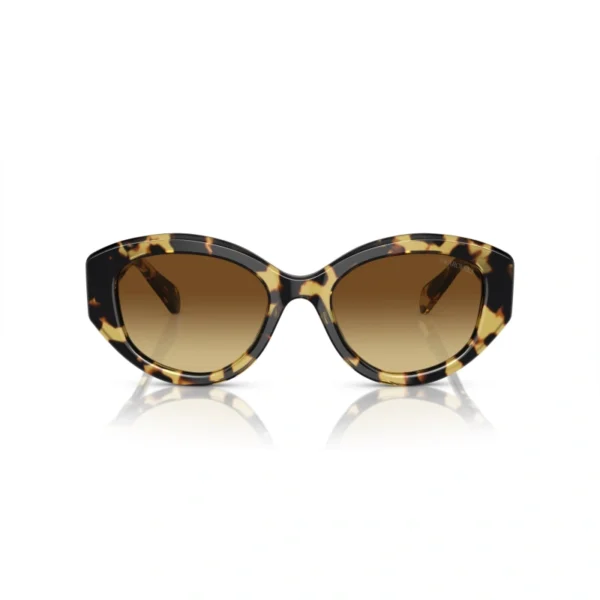 SWAROVSKI Sunčane naočare 0SK6005 100913 53