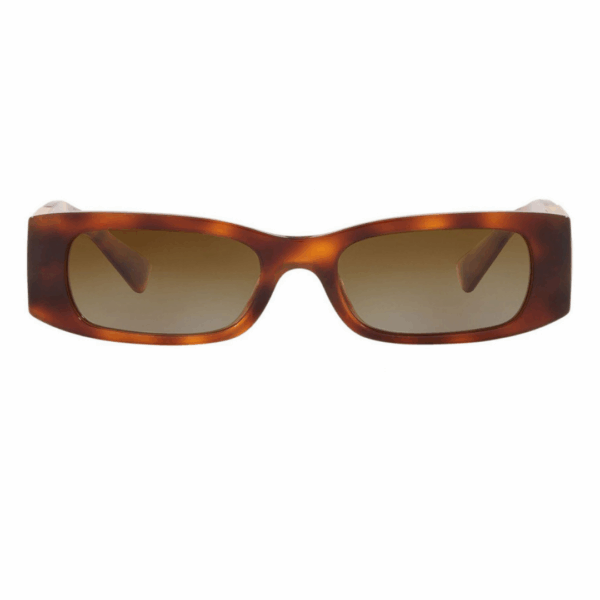 VALENTINO Sunčane naočare 0VA4105 501113 51