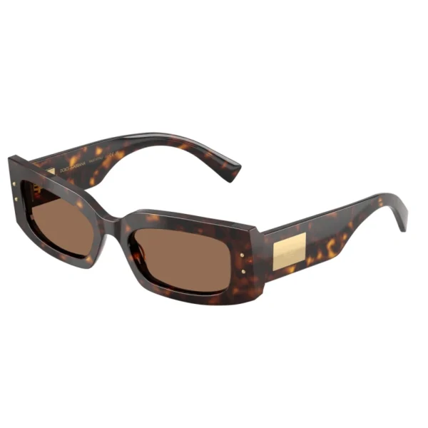 dolce-gabbana-dg-4479-50273-havana-8056262296868-.webp DOLCE & GABBANA Sunčane naočare 0DG4479 502/73 55