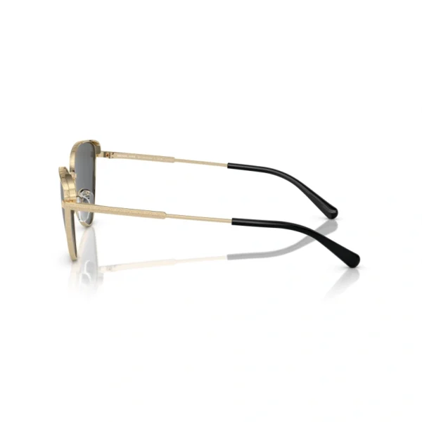 MICHAEL KORS Sunčane naočare 0MK1140 101481 59