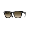 oliver-peoples-ov-5518su-mister-brunello-100585-black-827934497801-800x800w.webp OLIVER PEOPLES Sunčane naočare 0OV5518SU 100585 50