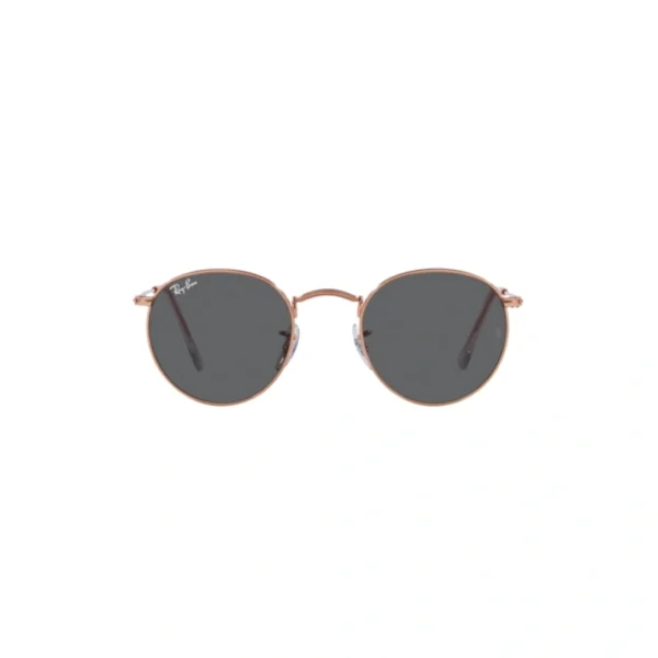 RAY BAN ROUND Sunčane naočare 0RB3447 9202B1 47
