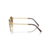 RAY BAN NEW ROUND Sunčane naočare 0RB3637 001/51 50-53