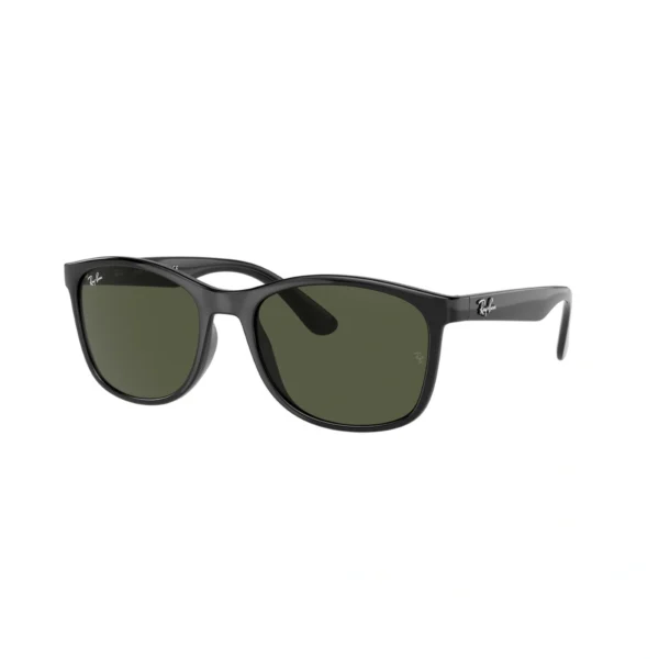 RAY BAN Sunčane naočare 0RB4374 601/31 56