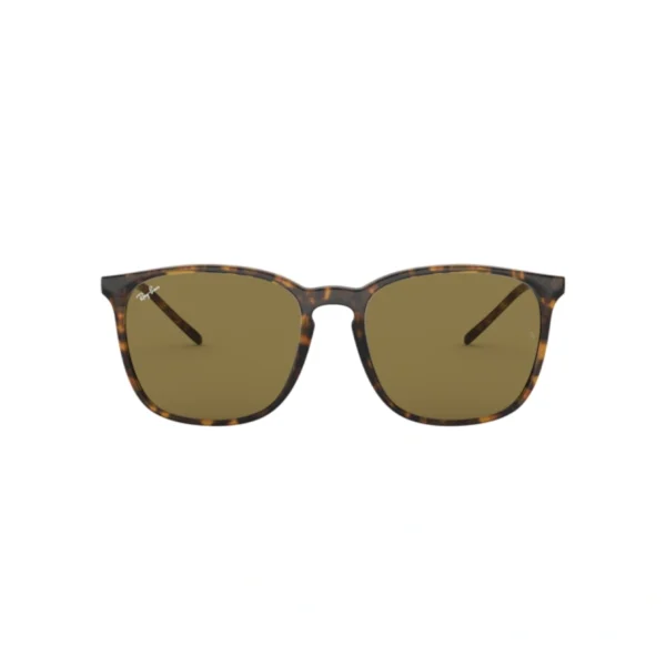 ray-ban-rb-4387-71073-light-havana-8053672169355-1-2000x2000w.webp RAY BAN Sunčane naočare 0RB4387 710/7356