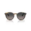 RAY BAN CHROMANCE POLARIZOVANE LARRY Sunčane naočare 0RB7680S 1332GL 49-51